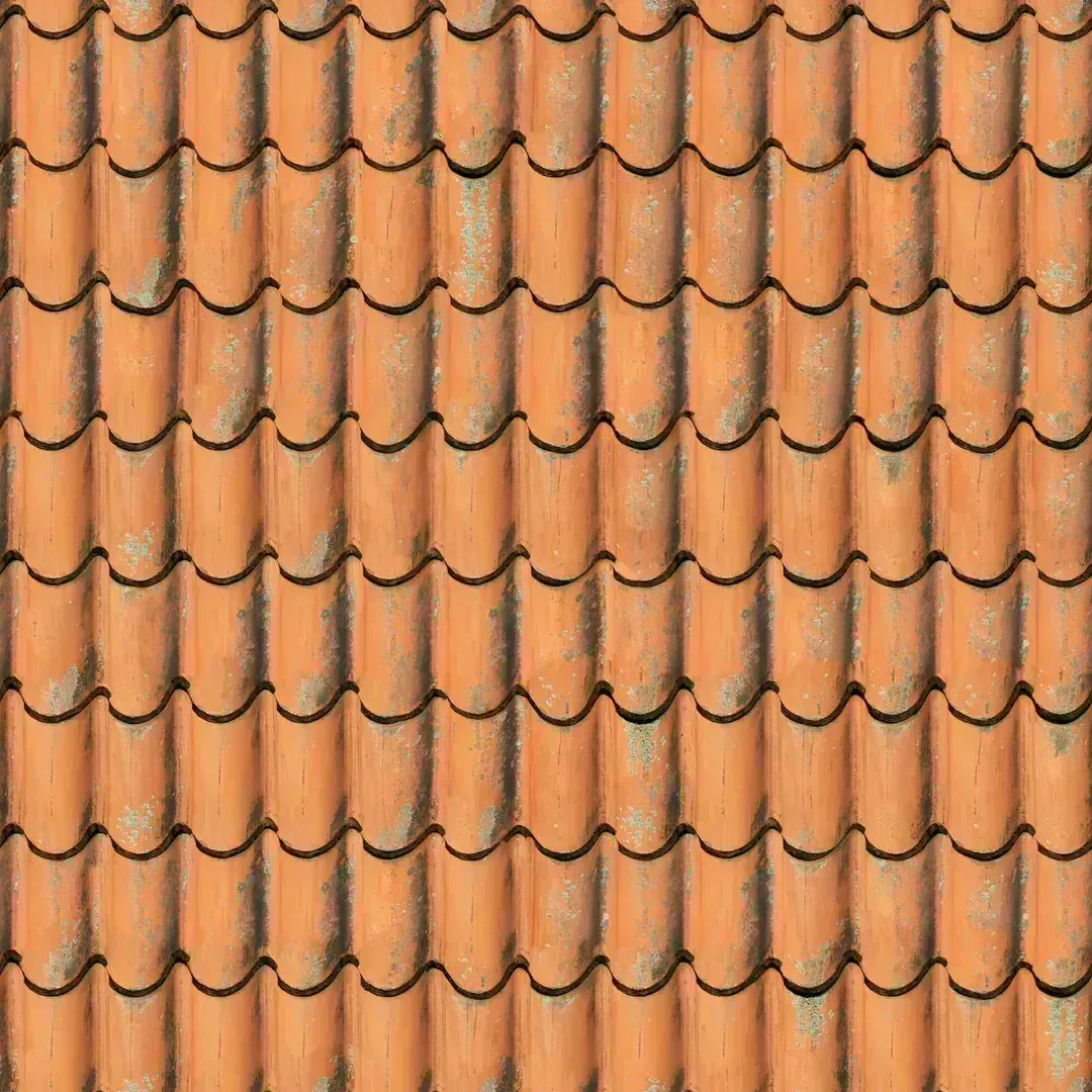 Roof Inspection